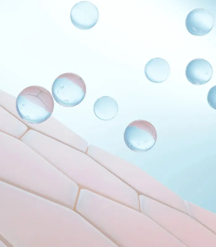 scitech multi collagen formula