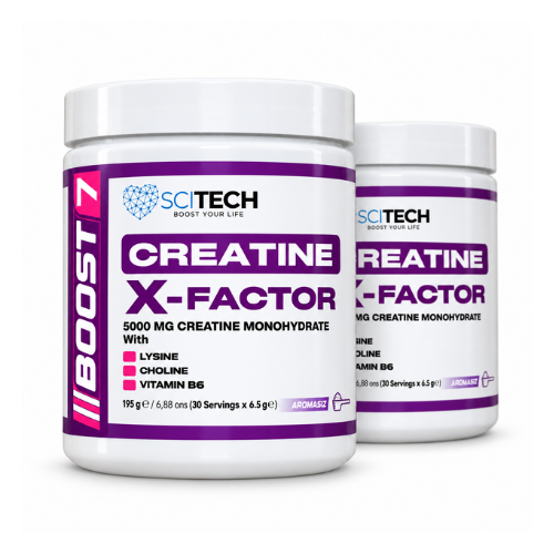 BOOST-7 Creatine X-Factor Kreatin Monohidrat + L-Lizin + Kolin + Vitamin B6 195 Gr 30 Servis 2 Adet